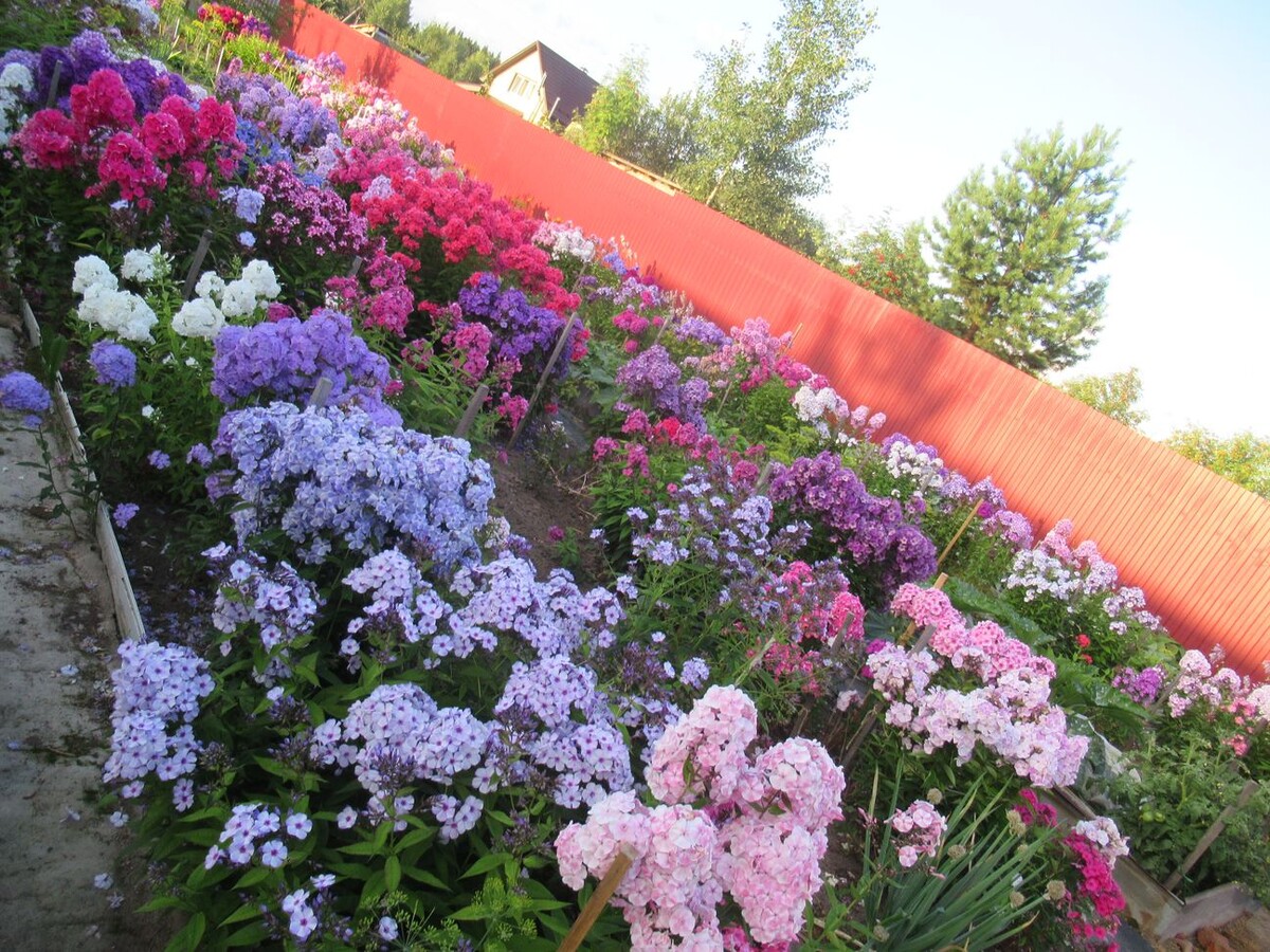 2. В галерее 4 фото, листайте