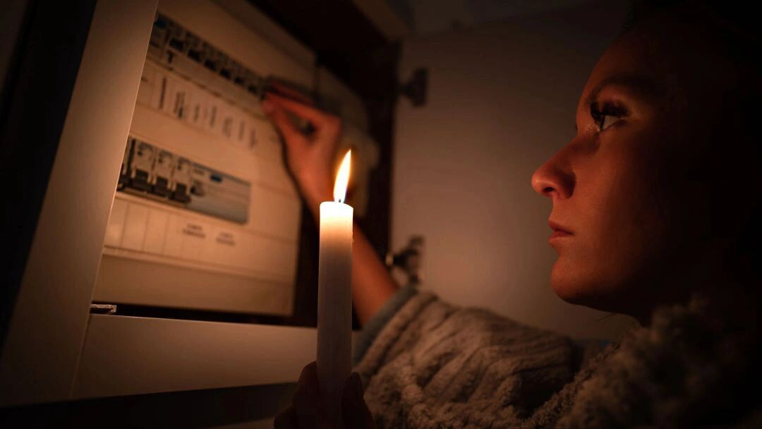    Фото: Creative Cat Studio/Shutterstock/Fotodom