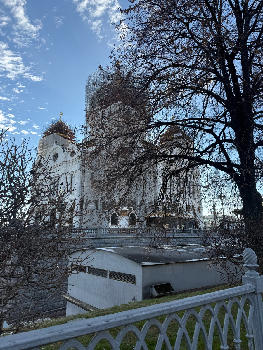 Обновляли покрытие на куполах.