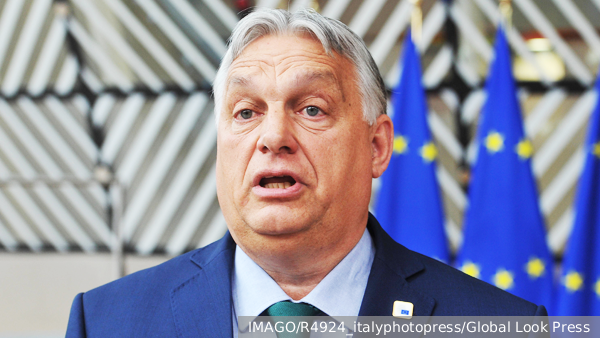     Фото: IMAGO/R4924_italyphotopress/Global Look Press   
 Текст: Дарья Григоренко