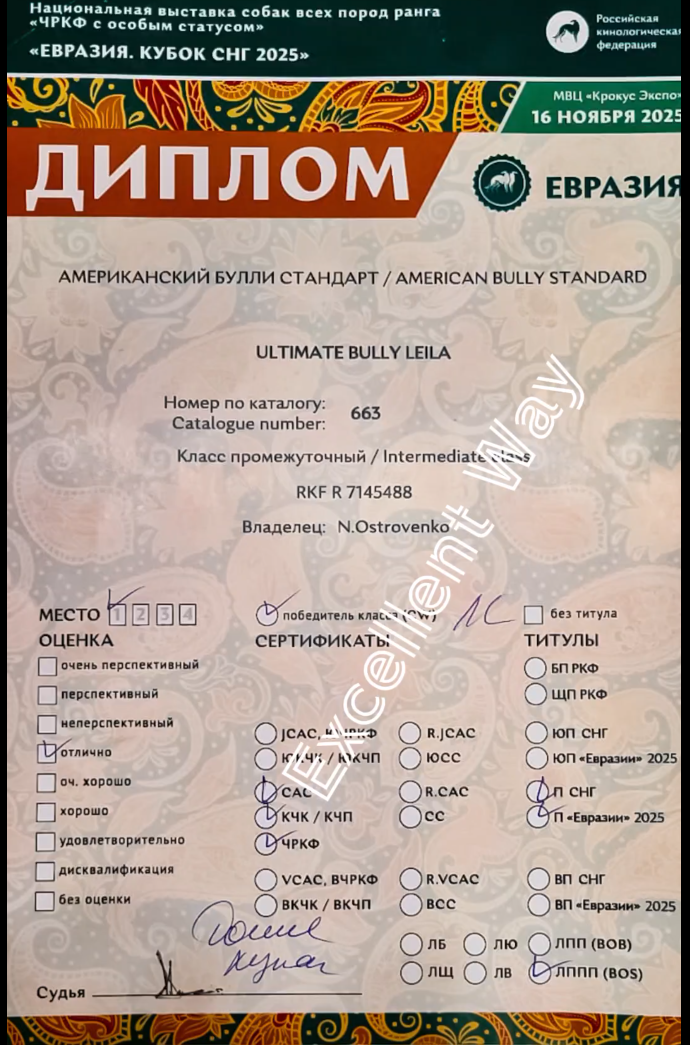 Та самая столь ценная бумага, ради которой мы с булли Лейлой вставали в 5 утра и ехали на «Евразию»