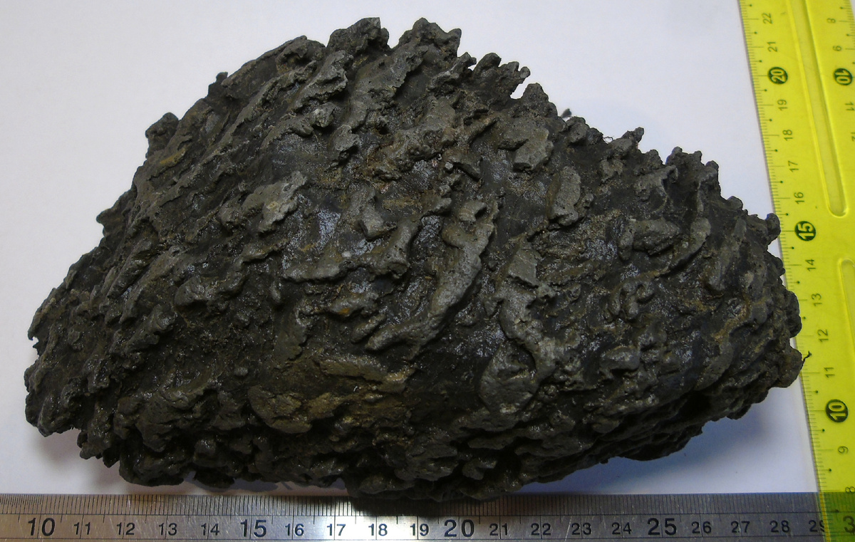 Известняк с ходами илоедов