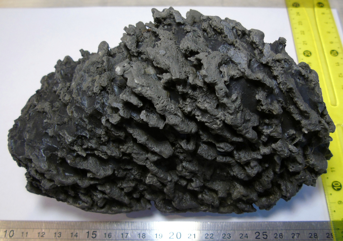 Известняк с ходами илоедов