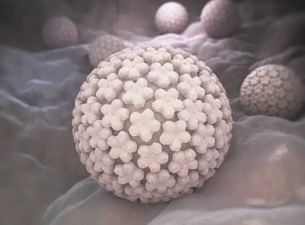 Единственный и неповторимы возбудитель онкологии