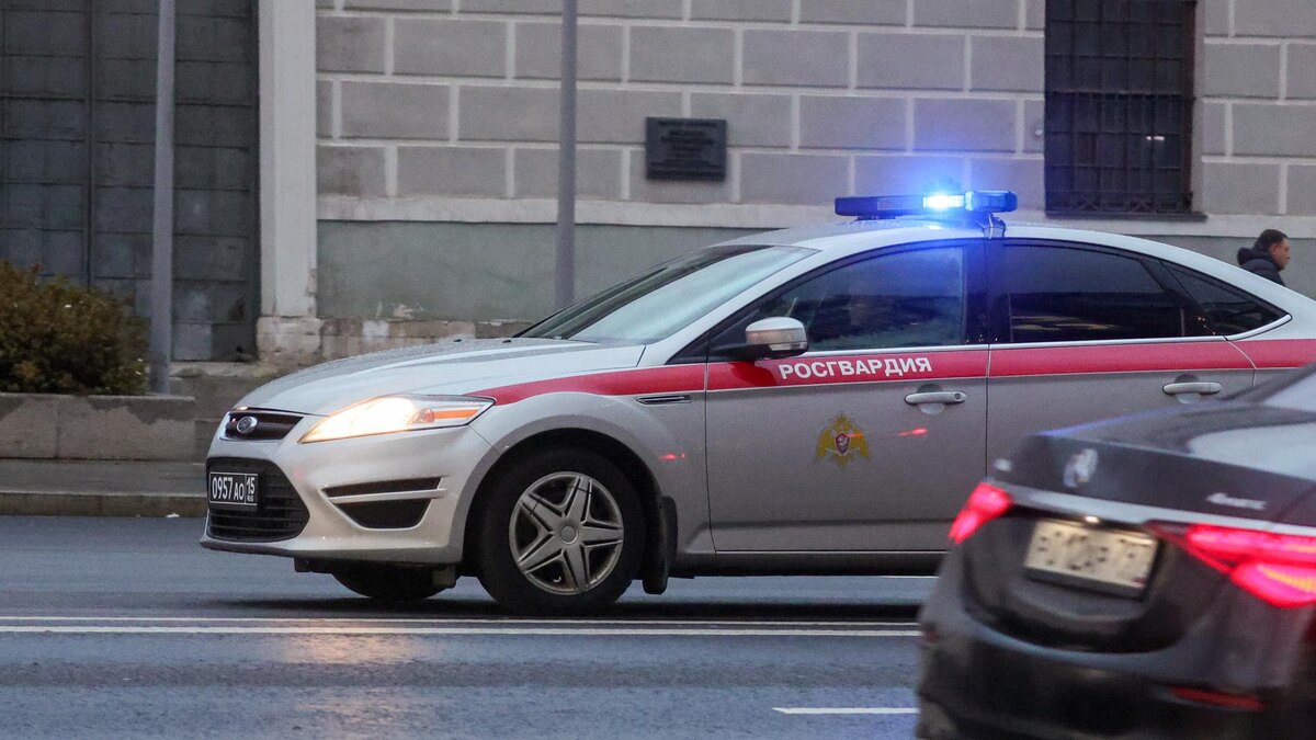    Фото: globallookpress/Shatokhina Natalia