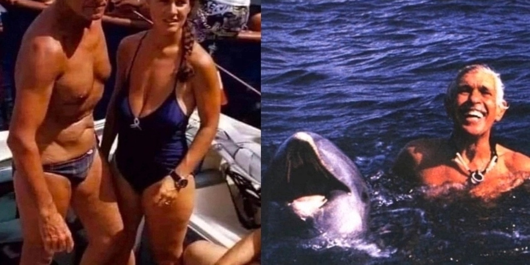 История спасения Дельфинов