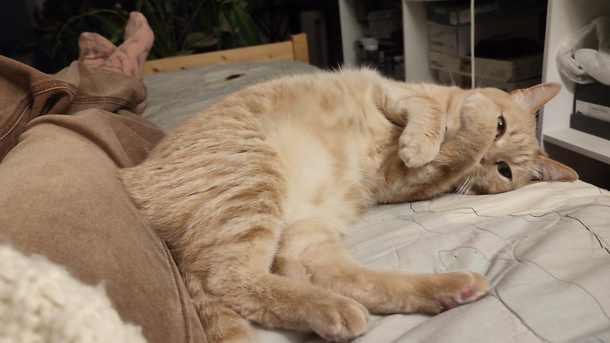 Фотка старая, но по сути ничего не поменялось. Разве что позы.