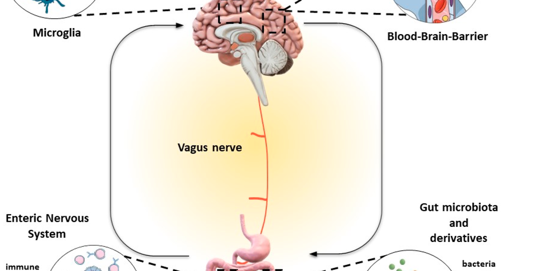 Депрессивный микроб