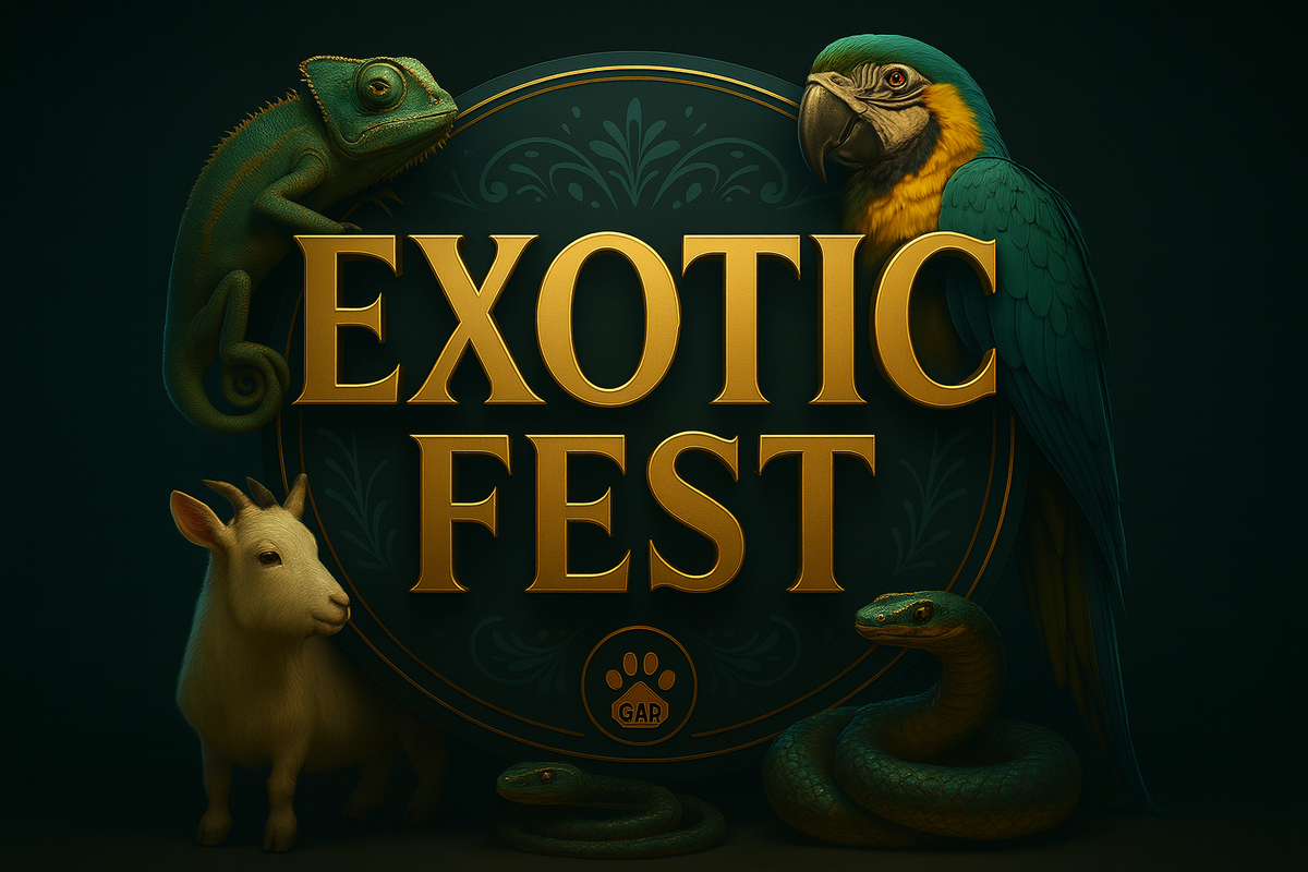 💬 Напишите в комментариях: кого вы приведёте на цифровую сцену?