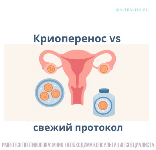 Почему криоперенос часто оказывается успешнее свежего протокола ЭКО?