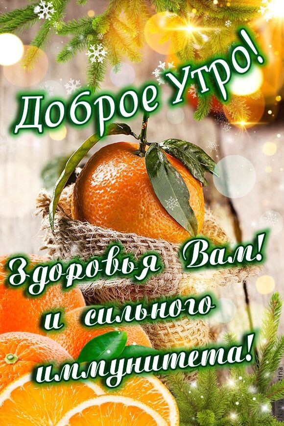 Из интернета для хорошего настроения 💖