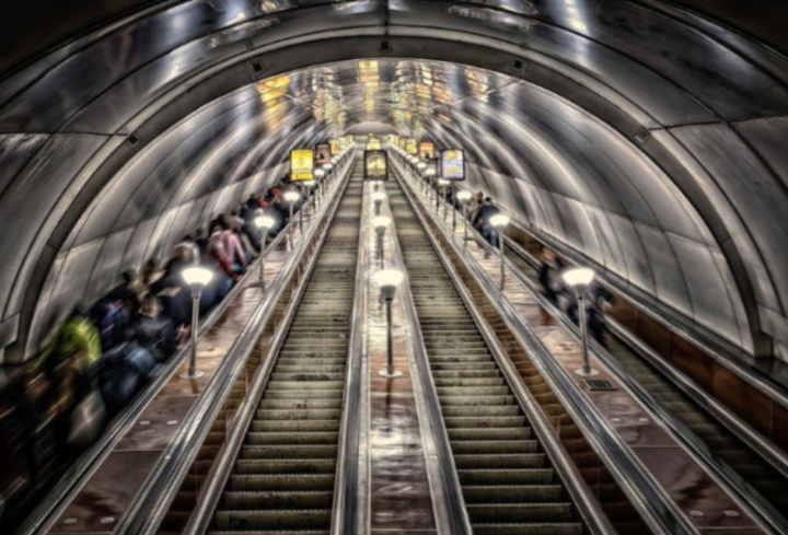 фото: pxhere.com