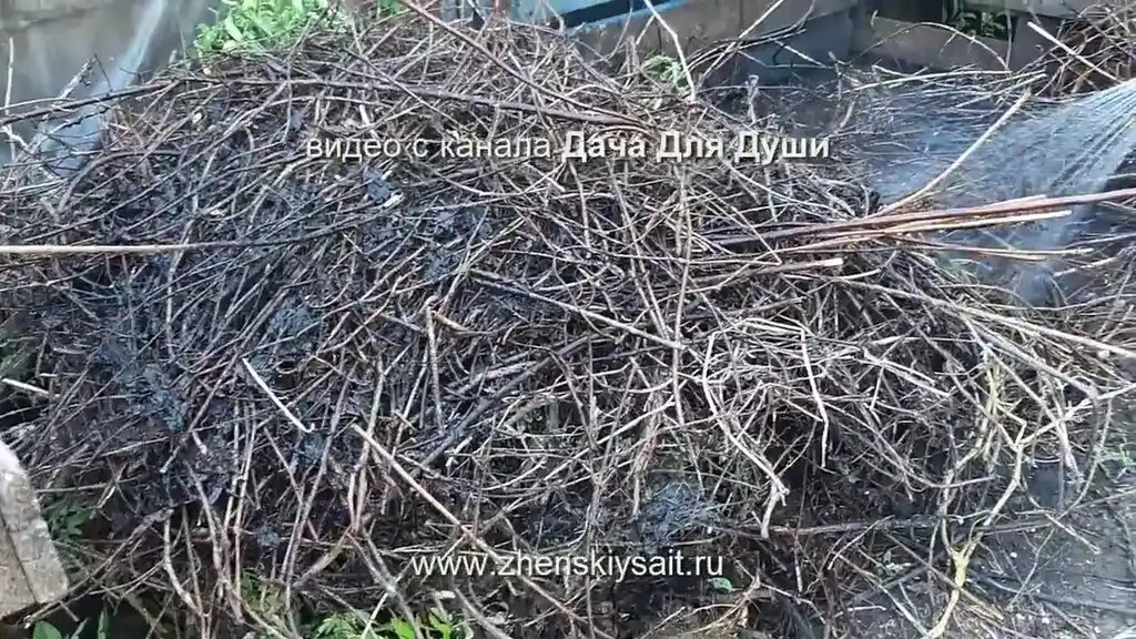 Самый первый слой — это грубые, толстые ветки