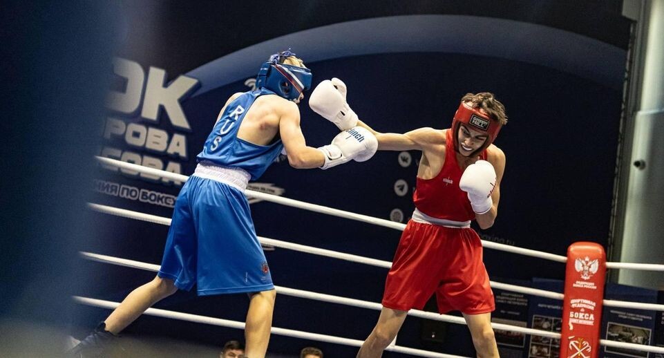    Федерация бокса России