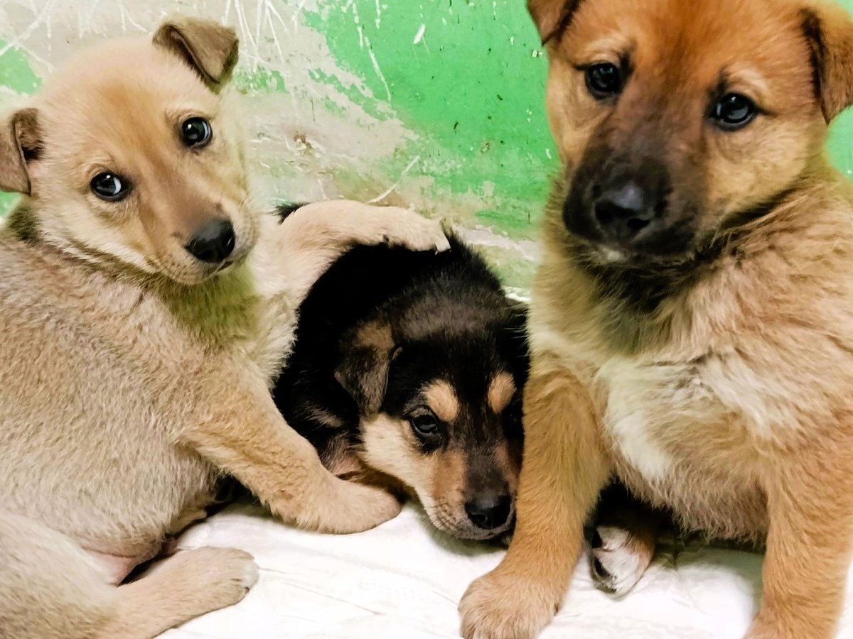 Но они есть, они уже пришли в этот мир