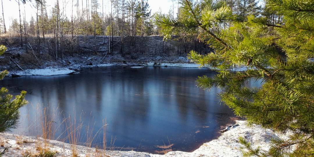 Прогулка c МД по лесу в (-5°С). Завершение сезона приборного поиска 2025г.