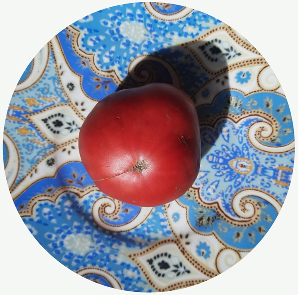 Вот он, мой сегодняшний герой! 