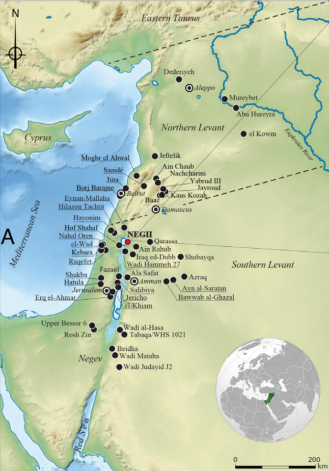   Laurent Davin et al. / Proceedings of the National Academy of Sciences, 2025