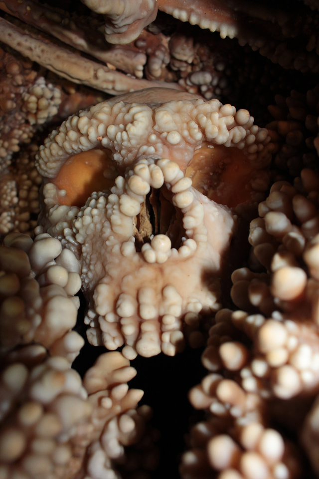   K.A.R.S.T. PRIN Project