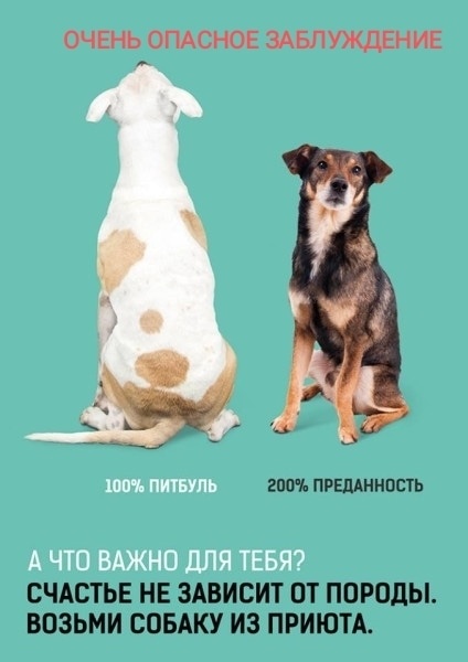 *С просторов