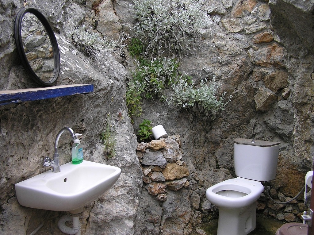   Фото: по лицензии PxHere