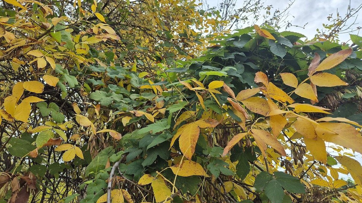    Фото: телеканал «Краснодар»