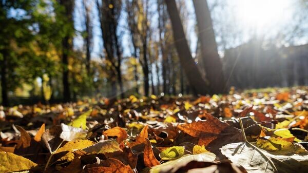    © РИА Новости Крым