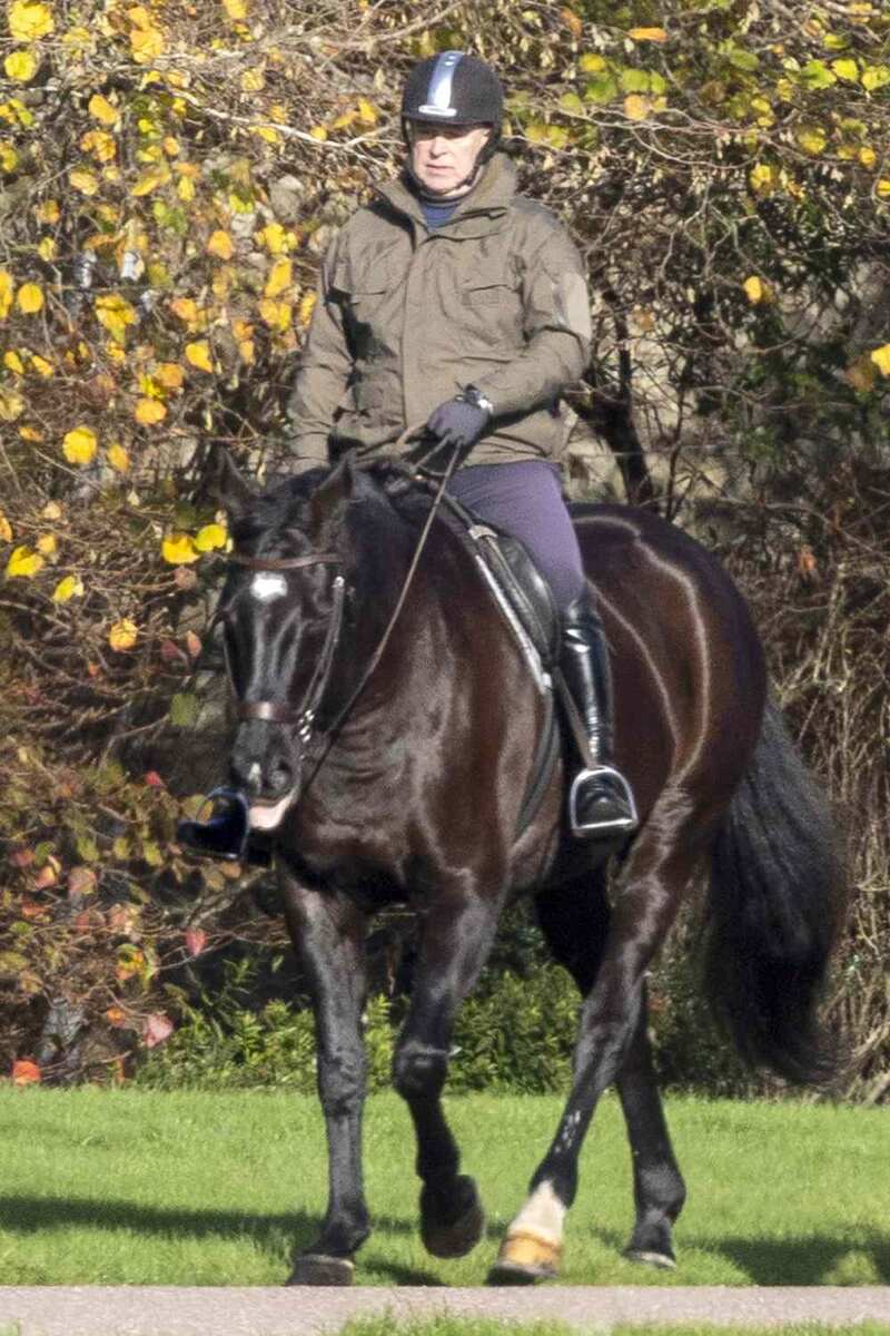 Источник фото: Daily Mail