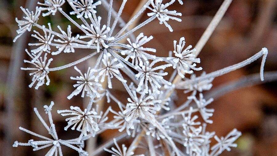    Фото: Global Look Press/Anastasia Nikitina/Business Online