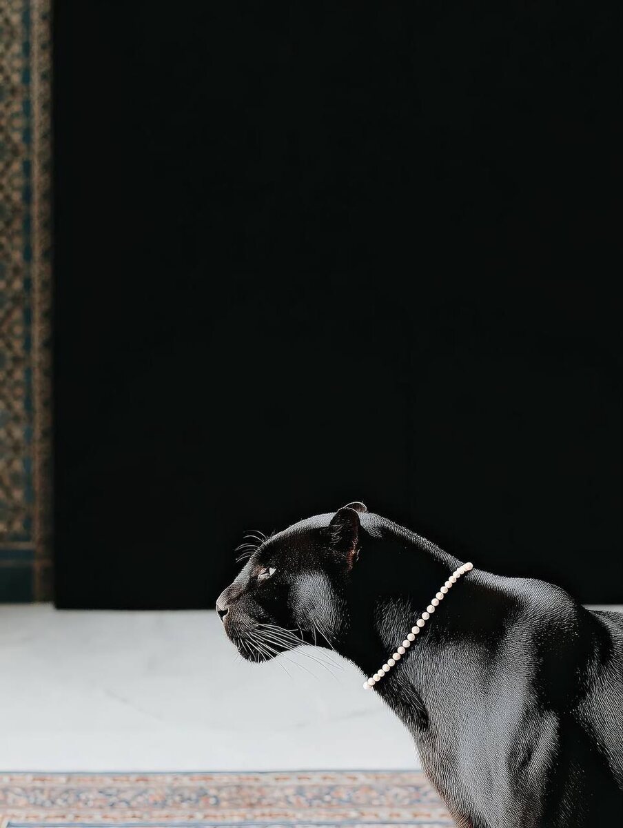 Внешняя атрибутика это всегда отражение внутреннего состояния. 