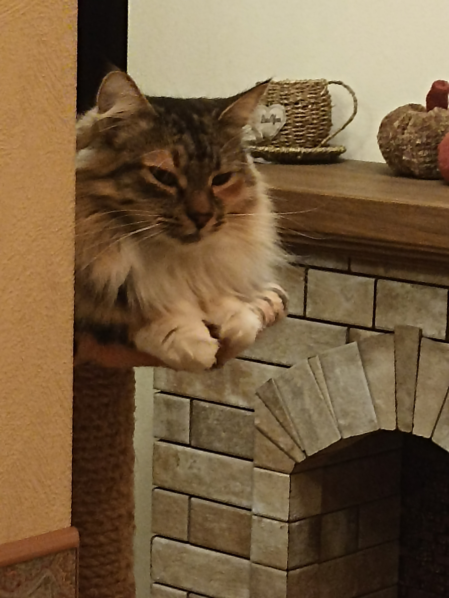 Тася в полудреме