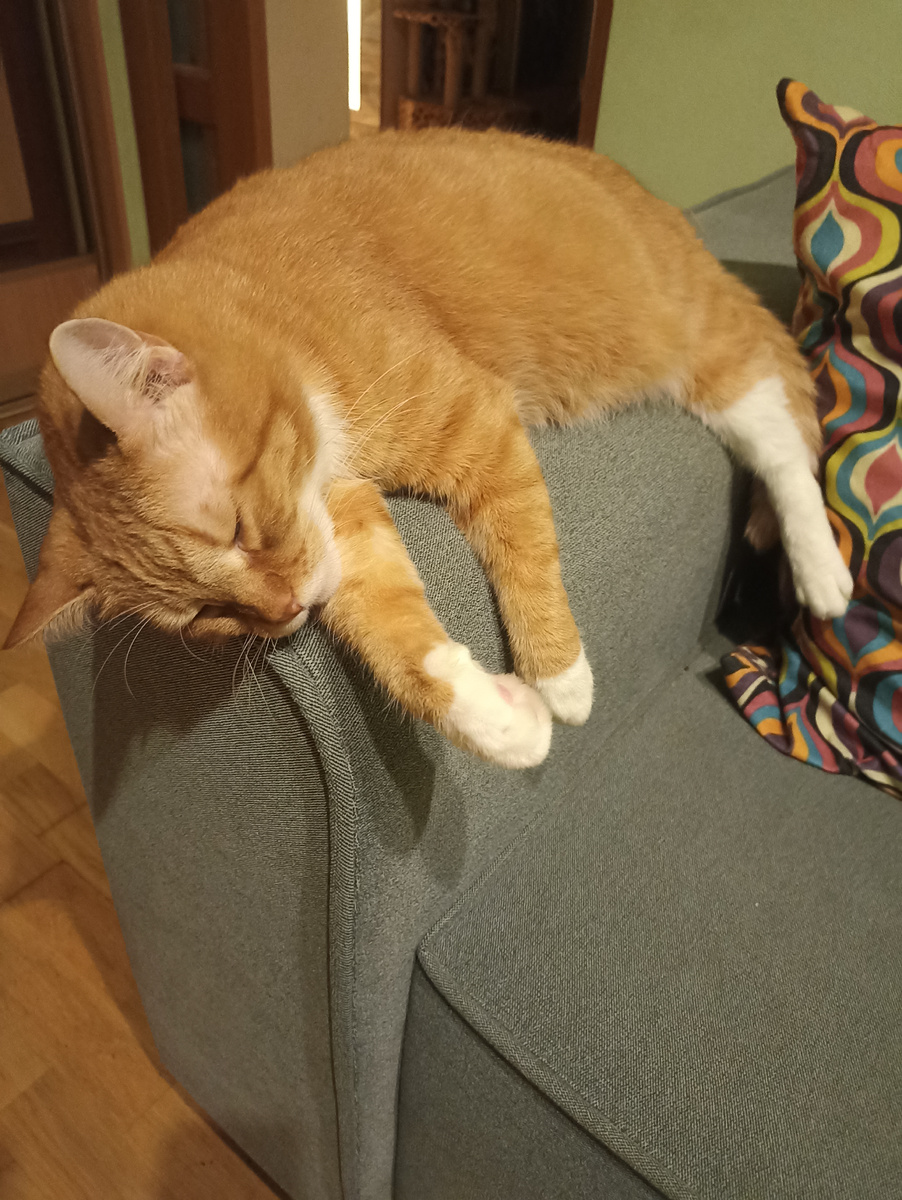 А Вася будто весь день вагоны разгружал)) 