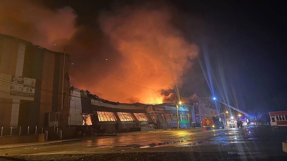    Фото: Настоящий Гладков/t.me