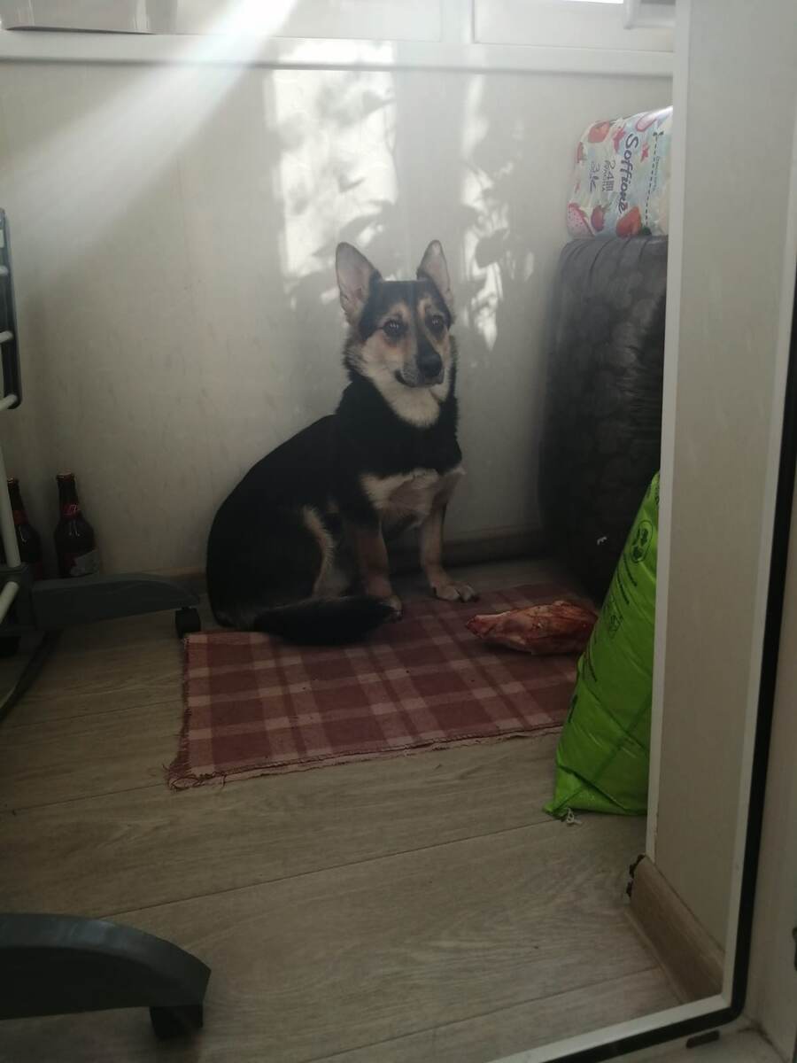 Вы там все радовались год назад, а я знаете, как снова опять напугалась?