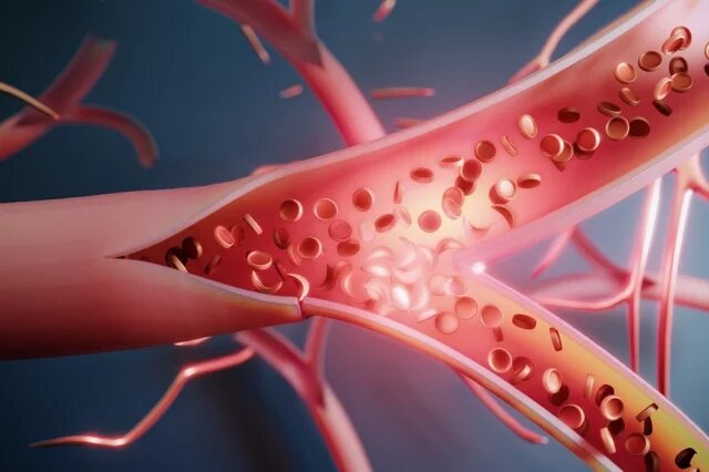 Какие продукты очищают кровь?