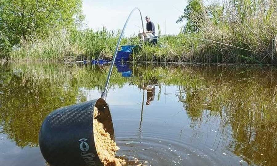 Эффект обратной связи: когда прикормка работает против рыболова