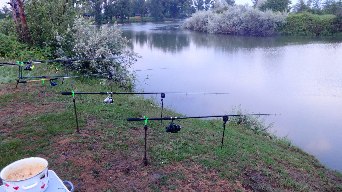 Фото автора.