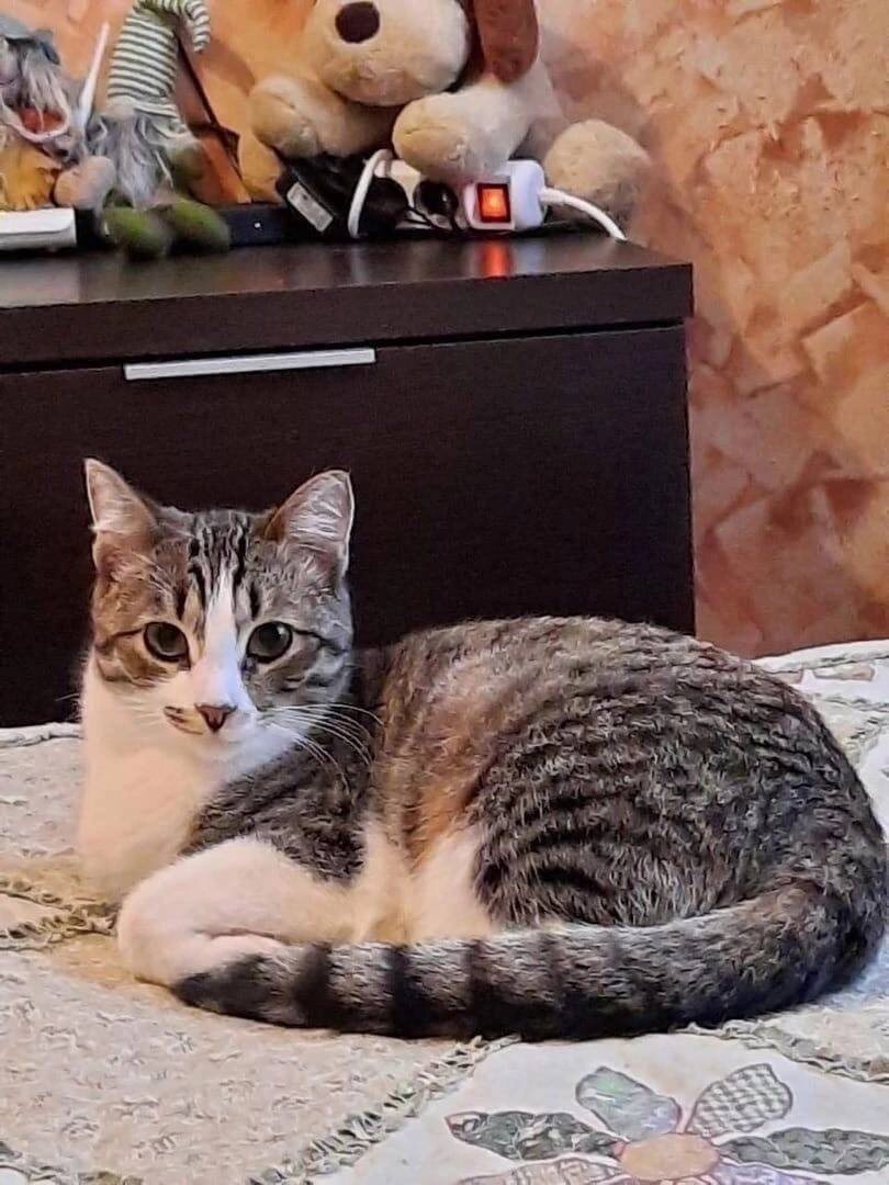 Я Жу и вот такой попала к Тане на передержку