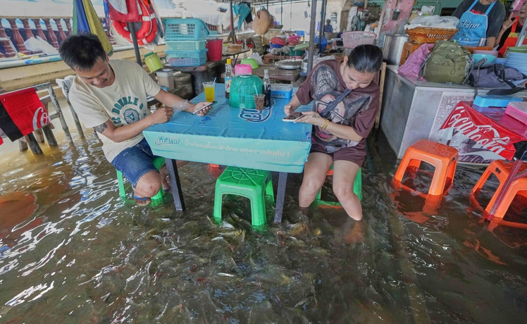 На самом деле это дешевый ресторан с пластиковой мебелью