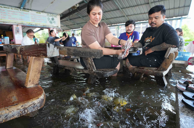А рыбки не маленькие, могут и тяпнуть