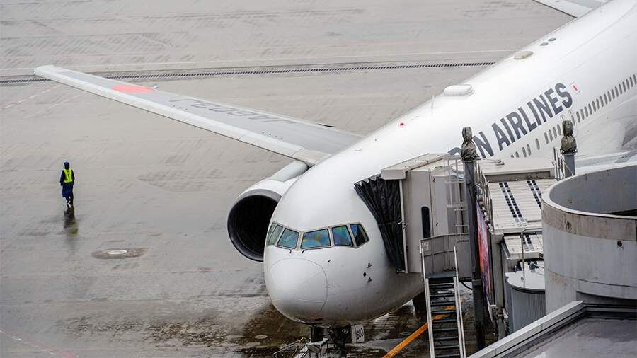    Фото: Global Look Press/James Matsumoto