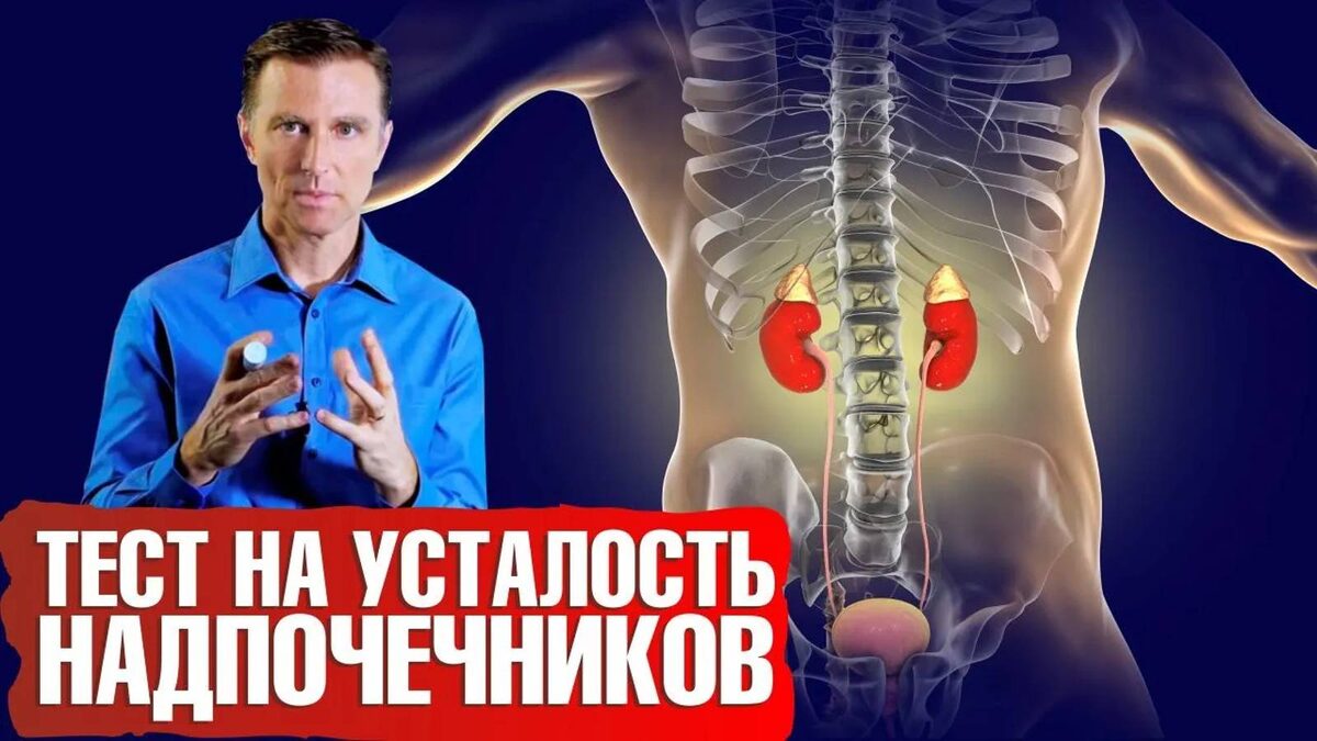 Когда Резкая Усталость Может Быть Гормональным Сбоем Надпочечников