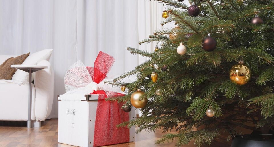    dbn/imageBROKER.com / www.globallookpress.com