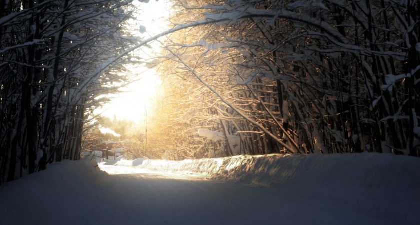    В Иркутской области 18 ноября ожидается снег и усиление ветра