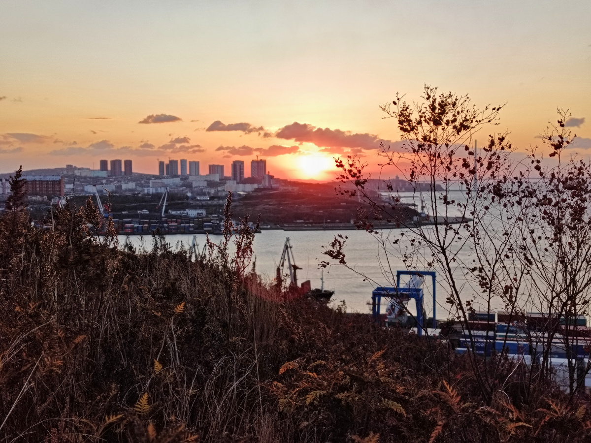 Над мысом Чуркина встаёт солнце. Невозможно устать от этого зрелища. Куст на фоне неба — это леспедеца с совершенно сухими желтоватыми листьями. 