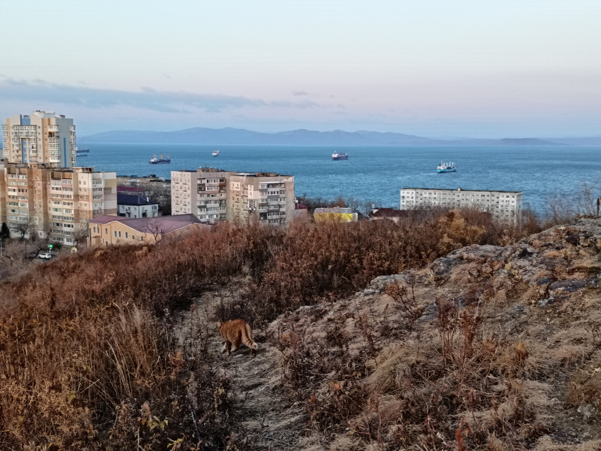 Котик спешил, поэтому резкость ни то ни сë. Впереди — широкий Амурский залив. А сзади — Золотой Рог и тот самый вид восходящего солнца. 
