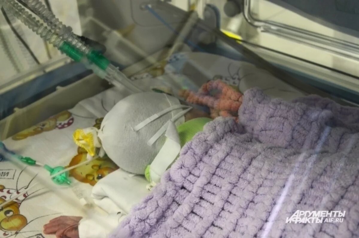    В Новосибирской области спасли 47 недоношенных малышей с начала года