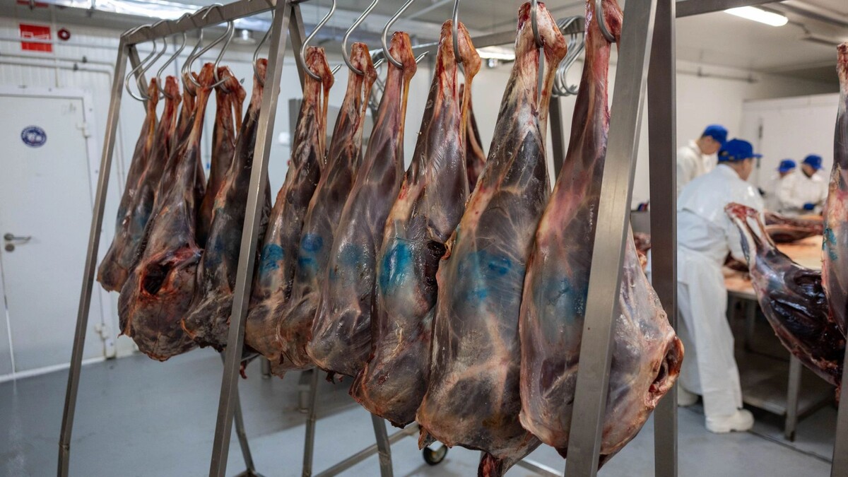    Фото: Александр Чирва / «Ямал-Медиа»