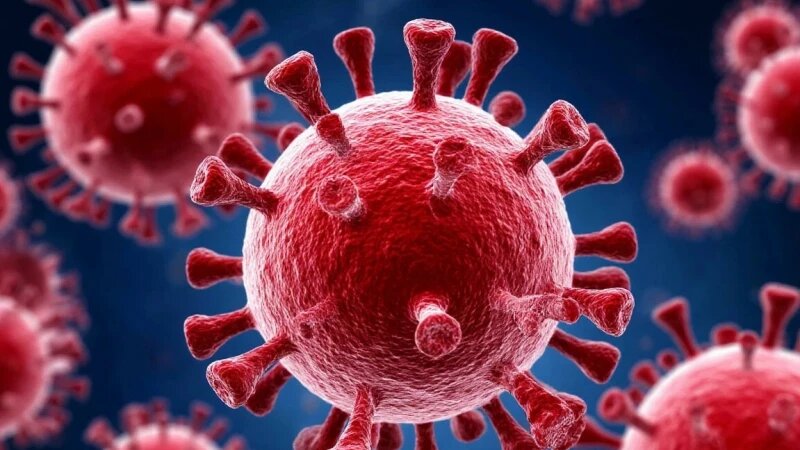     Вирус. Инфекция. Болезнь Шедеврум/Altapress.ru