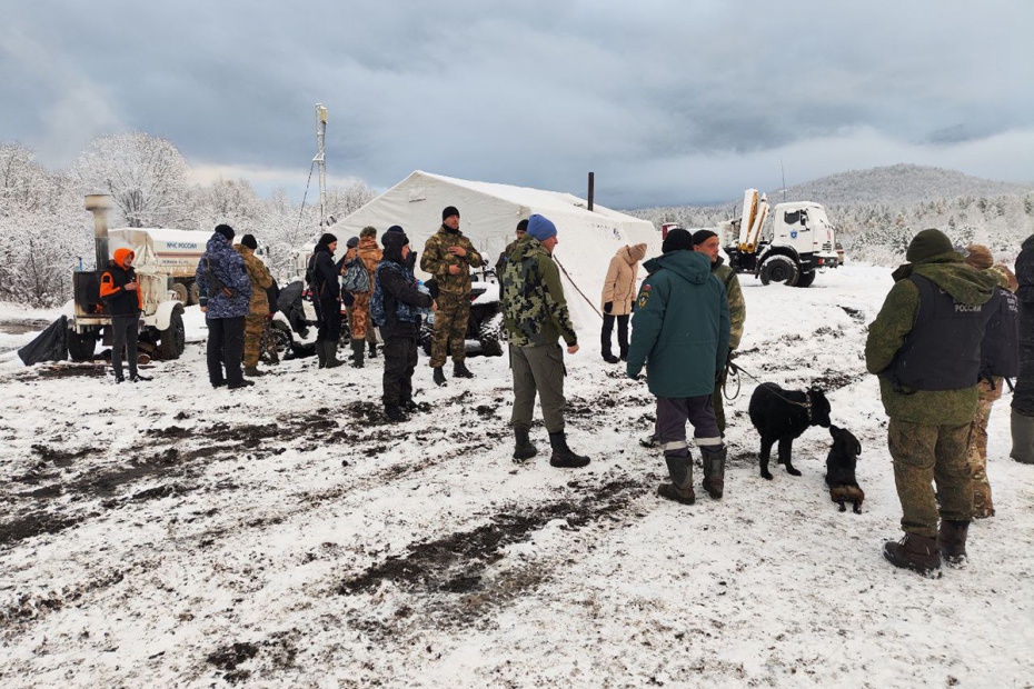 Поисковики . фото: картнки яндекс.